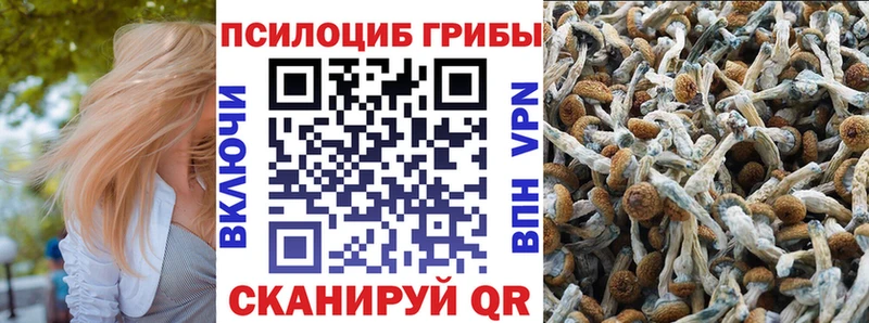 Псилоцибиновые грибы GOLDEN TEACHER  где купить наркоту  МЕГА ссылки  Муравленко 